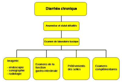 Examens De Base En Cas De Diarrhee 4 Semaines